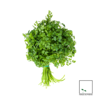 Persil plat (la botte)