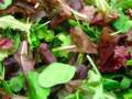 Mesclun (+/-100 g)