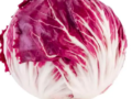 Radicchio (la pièce)