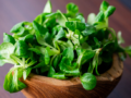 salade de blé (mâche) 100gr