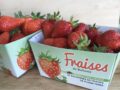 fraises 500 gr