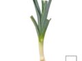 Poireaux (+/-500 g)