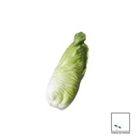 Chou pointu blanc(la pièce)